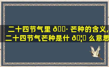 二十四节气里 🌷 芒种的含义,二十四节气芒种是什 🦁 么意思